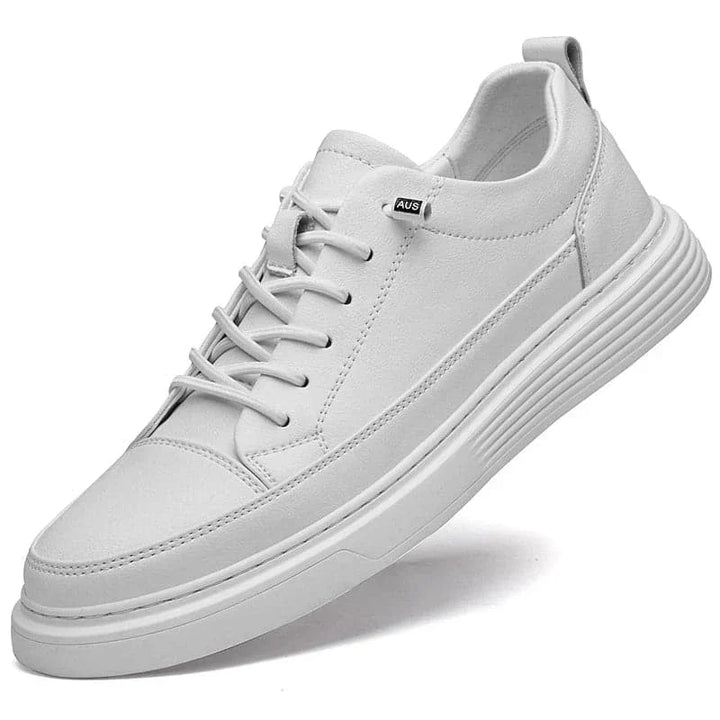 Stride in Comfort Leather Shoes
